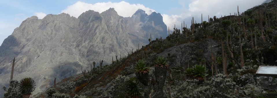 Guy Yeoman Hut back to Nyakalengija