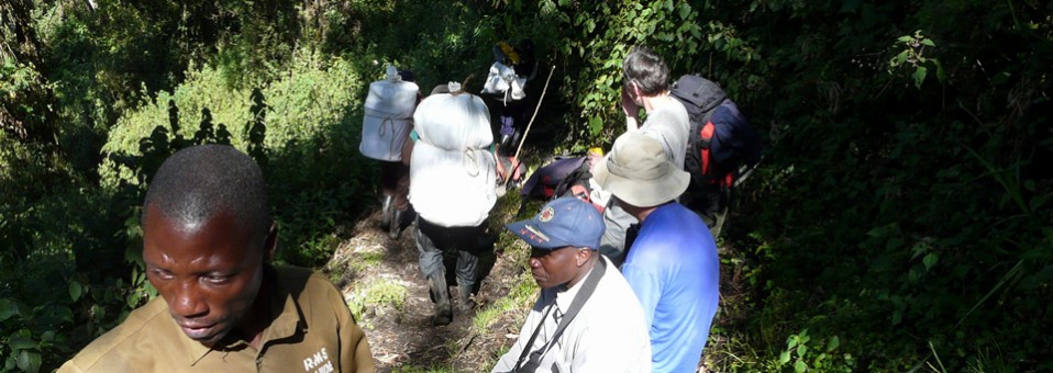The Central Circuit trekking
