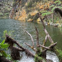 Rwenzori Mountains Climbing Rwenzori Mountains Climbing