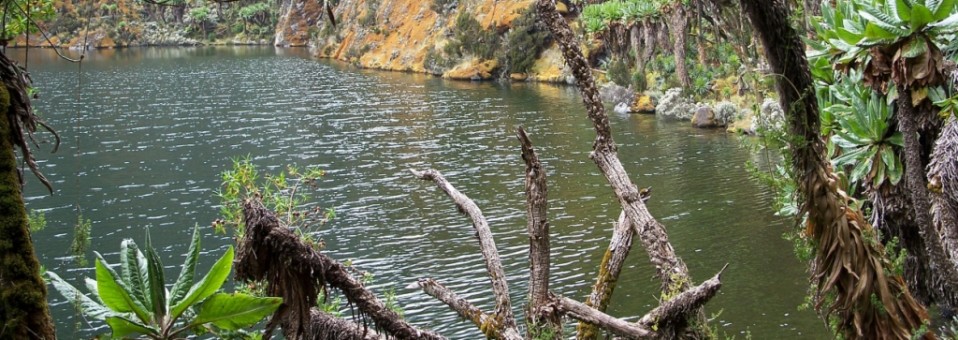 Rwenzori Mountains Climbing