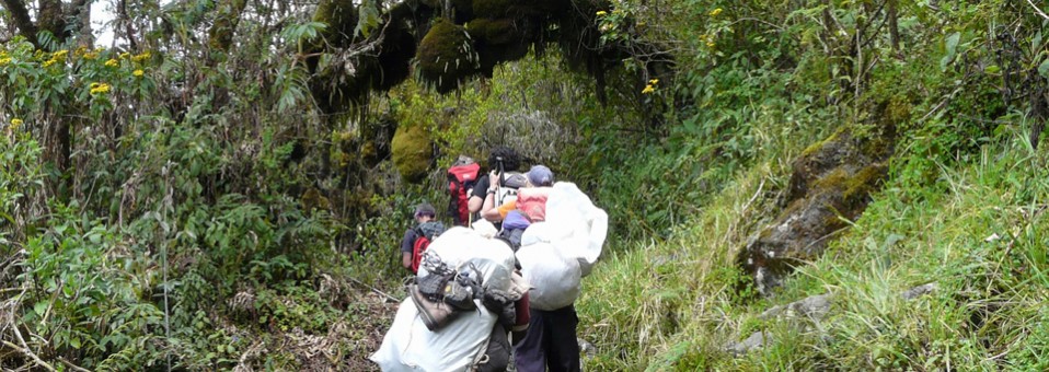 The best period to climb the Rwenzori