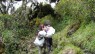 The best period to climb the Rwenzori