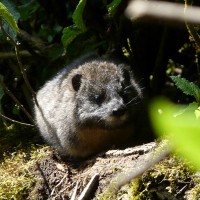 Check list for the Rwenzori trekking Check list for the Rwenzori trekking